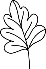 doodle freehand sketch drawing of maple leaf.