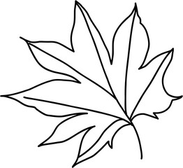 doodle freehand sketch drawing of maple leaf.