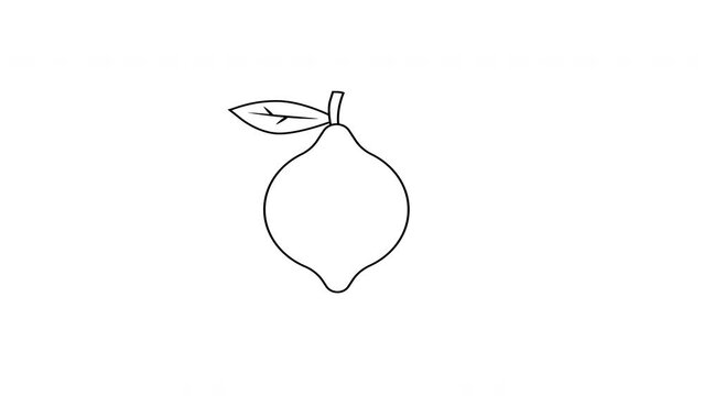 animated video of a lemon shape sketch