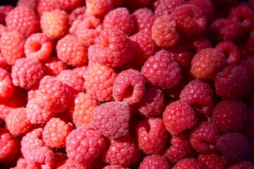Red raspberry background, berry background