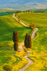 Spring landscape with pathway in the hills of Val d'Orcia