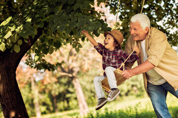 Grandfather and grandson playing in a park with a swing