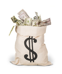 bag with money