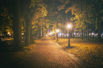 Night park in autumn with fallen yellow leaves.City night park in golden autumn with lanterns, fallen yellow leaves and maple trees. Vintage film aesthetic.