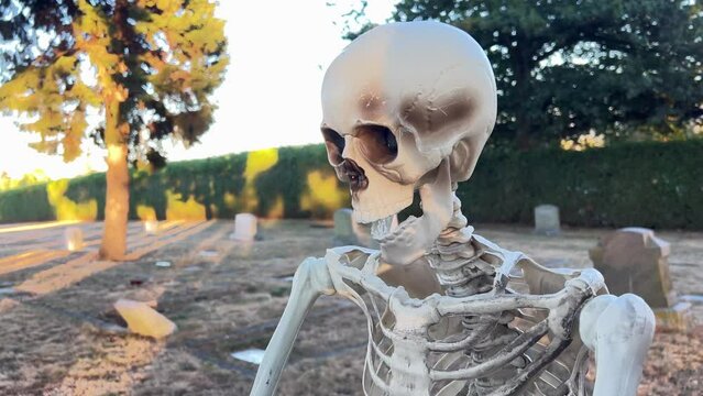 A white human skull lies on the ground in the background of trees or a cemetery. High quality 4k footage