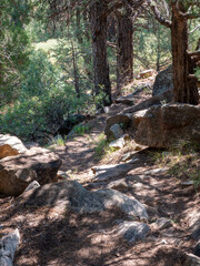 Rocky Trail at Gallinas Nature Trail in Las Vegas NM