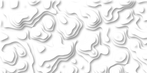 paper cut 3d render topography abstract ,beautiful white color palette colors, waves and layers, flat fiber structures, holes, macro texture digital art Pattern with lines and dots The stylized height