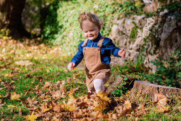 Little positive smiling todler 2 years old, stylish in a blue shirt and brown jumpsuit, walking in an autumn park. Dry leaves rustle. Hiking. Happy childhood. Having fun during stroll