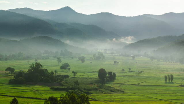 Beautiful view of morning light hitting mountains, green rice fields, trees, and mist in the countryside in Chiang Rai, Thailand.