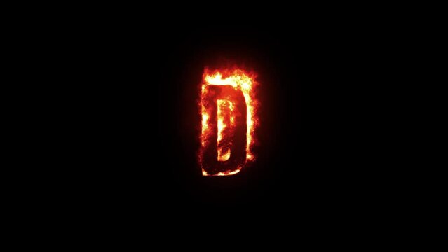 Letter D on fire. Realistic render. Seamless loop.