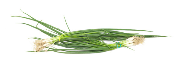 two bunches of green onions on a white background