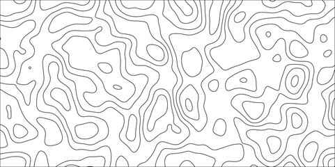 Contour map background. Vector geography scheme and terrain. Topography grid map. Stylized topographic contour map. Geographic line mountain relief. Abstract lines or wavy backdrop background. - obrazy, fototapety, plakaty