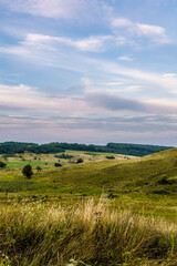 Obraz premium fields and hills with grass, bushes and trees, against a background of blue sky with clouds