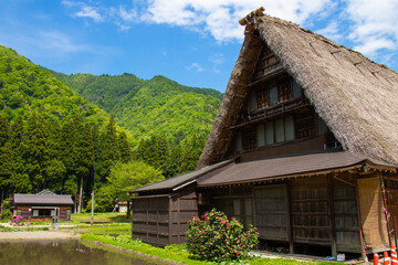 Fototapeta na wymiar Historical Japanese Village Gokayama in Toyama, Japan