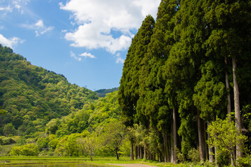 Fototapeta na wymiar Rural Scenery in Gokayama, Toyama, Japan