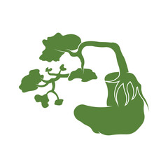 Bonsei logo vector illustration design template