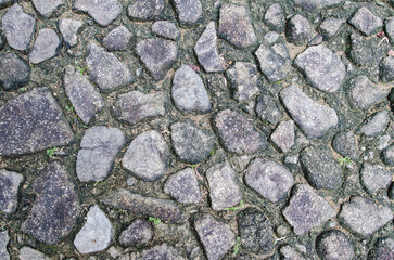 Stone walkway with moss and grass - Old stone floor with moss