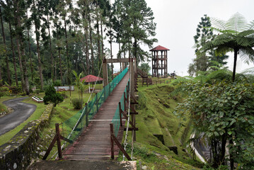 Bukit Larut is one of tourist attraction in Taiping can be reached by 4x4 ride with serene foggy...