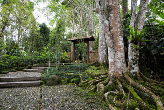 Famous Botanical Japanese Village in tropical rainforest, Bukit Tinggi, Malaysia