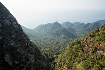Rainforest Machincang mountain of Langkawi Island, Malaysia