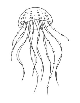 Medusa, black and white vector illustration isolated on a white background, hand-drawn. Contour drawing of a jellyfish for coloring. Marine and oceanic animal.