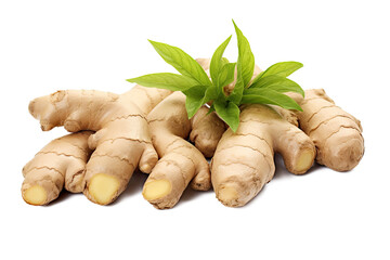Group of Ginger root rhizome isolated on transparent background, Asian organic Herb and spice concept, Natural organic healthy plant. - obrazy, fototapety, plakaty