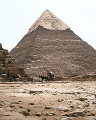 Pyramids of Giza, including Cheops, Chephren and Mykerinos, from a tourist transport, with horses with riders or local guides in carriages. In the background you can see one of the pyramids.