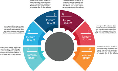 6 section sub circle vector infographics
