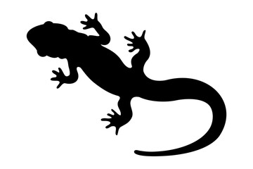 Gecko lizard or salamander silhouette. Vector illustration