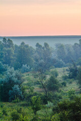 A morning landscape of misty fields and hills with green trees and bushes during the golden hour.