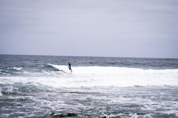 happy surfer in the coast with his red surfboard