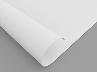 Curled paper sheet on a grey background. 3d render illustration.