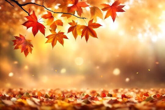 Beautiful autumn background with flying falling colorful leaves and bokeh