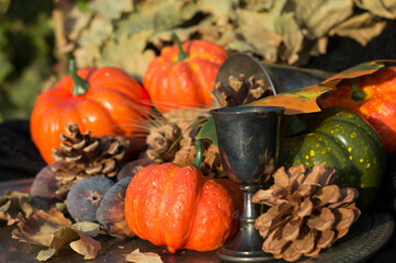 background with pumpkin, cup, wheat, figs, pine nuts.
decoration for fall, halloween and thanksgiving