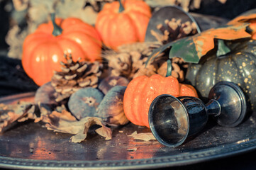 background with pumpkin, cup, wheat, figs, pine nuts.
decoration for fall, halloween and...