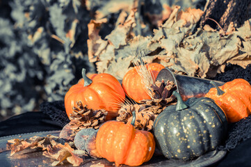 background with pumpkin, cup, wheat, figs, pine nuts.
decoration for fall, halloween and thanksgiving