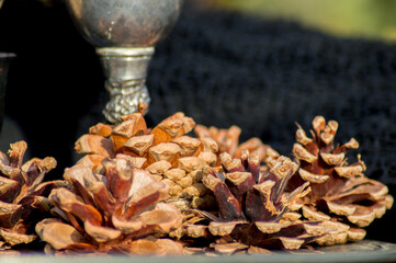 background with pumpkin, cup, wheat, figs, pine nuts.
decoration for fall, halloween and...