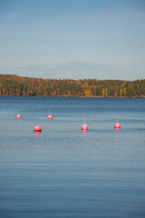 Buoys in the lake with autumn forests in the background in Finland