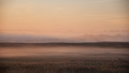 Early morning fog in the reeds of Kokemäenjoki river delta in Pori, Finland