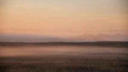 Fototapete Rund Tiefbraun Early morning fog in the reeds of Kokemäenjoki river delta in Pori, Finland  © Jani Katajisto