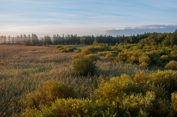 Early morning fog in the reeds of Kokem&auml;enjoki river delta in Pori, Finland