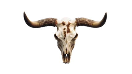 Foto op Plexiglas Bull Longhorn Skull with Antlers. Detailed Clipart Design for Rustic Decor Png.  © touchedbylight