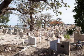 des baobabs dans le cimetière aux coquillages de l'île de Fadiouth au Sénégal en Afrique