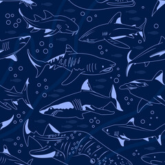 Shark vector seamless pattern. Square composition, endless marine preditor swatch. Underwater wallpaper design. Undersea textile print.