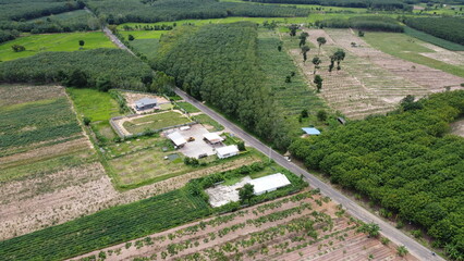 Fototapeta na wymiar Aerial view of green fields and farmlands in rural Thailand.