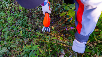 rechargeable garden shears are a garden care tool, close-up of a woman's hand trimming plants in...
