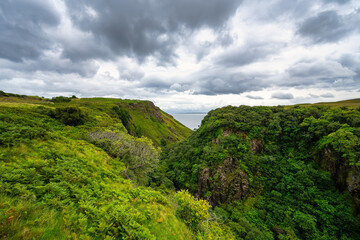 Stunning cliffs with green meadows full of flowers on the Isle of Skye, Scotland.