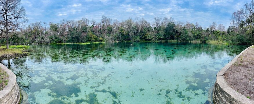 Clear blue spring waters surrounded by trees in winter, Alexander Springs, Ocala National Forest, Florida
