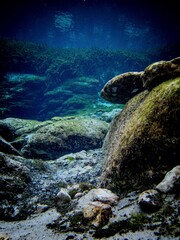 Rocks line the bottom of the spring vent in the clear blue spring waters of Alexander Springs, Ocala National Forest, Florida