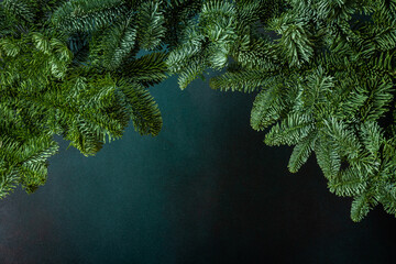 Fir branches close-up on a green background, Christmas background, copy space